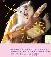 メイ先輩