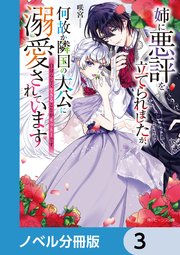 姉に悪評を立てられましたが、何故か隣国の大公に溺愛されています【ノベル分冊版】 3