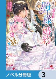 夜会で『適当に』ハンカチを渡しただけなのに、騎士様から婚約を迫られています【ノベル分冊版】 3