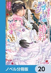 夜会で『適当に』ハンカチを渡しただけなのに、騎士様から婚約を迫られています【ノベル分冊版】 20