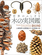 世界のふしぎな木の実図鑑【改訂版】