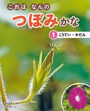 これはなんのつぼみかな (1)こうてい・かだん