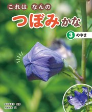 これはなんのつぼみかな (3)のやま