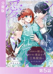 シュゼットはそれでも愛したい～記憶喪失の騎士と愛が重い魔道士で三角関係になってしまいました～【分冊版５】