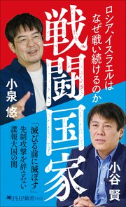 戦闘国家