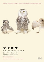 フクロウ 地球上で最も謎めいた鳥の科学