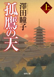 孤鷹の天　上〈新装版〉
