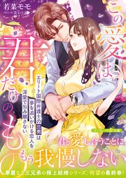 <華麗なる三兄弟の極上結婚シリーズ>この愛は君だけのもの～エリート国際弁護士の三男は夢を追いかける恋人を深愛で包み離さない～