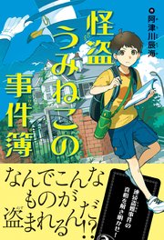 怪盗うみねこの事件簿
