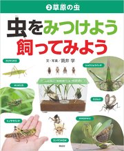 草原の虫