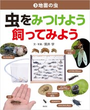 地面の虫