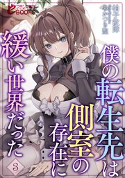 僕の転生先は側室の存在に緩い世界だった 3巻