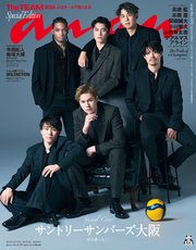 anan No.2470 Special Edition