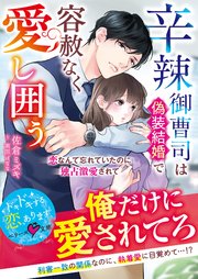 辛辣御曹司は偽装結婚で容赦なく愛し囲う～恋なんて忘れていたのに独占激愛されて～【SS付き】