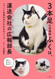 3本足の保護猫ふくは、運送会社の広報部長 ニャンと社員のあたたかなオフィス