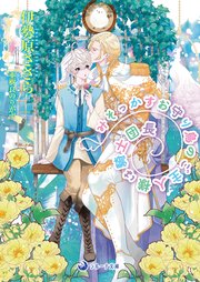 みそっかすお守り鳥のご主人様は騎士団長 1巻