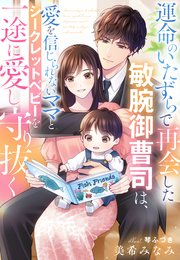 運命のいたずらで再会した敏腕御曹司は、愛を信じられないママとシークレットベビーを一途に愛し守り抜く