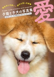 愛～子猫と子犬の写真集～ 1巻