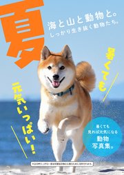 夏～動物写真集～ 1巻