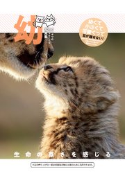 幼～どうぶつの赤ちゃん・こども写真集～ 1巻