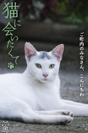 猫に会いたくて ご町内のみなさん、こんにちわ 1巻