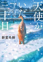 天使がいた三十日