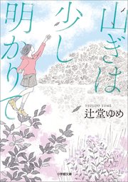 山ぎは少し明かりて