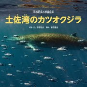 土佐湾のカツオクジラ 中西和夫の写真絵本