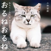 おるねおるね──あちらこちら猫さがし