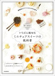 関口真優のいちばん親切なミニチュアスイーツの教科書