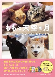 ももと天空の月 犬猫４きょうだいと暮らしています