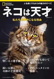 ネコは天才　私たちが夢中になる理由
