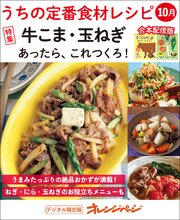 うちの定番食材レシピ合冊版 10巻