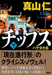 チップス　ハゲタカ6