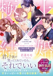 〈華麗なる三兄弟の極上結婚シリーズ〉特別書き下ろし短編集～その後の夫婦たちの終わらない溺愛～【シリーズ制作裏話付き】