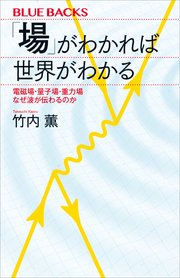 「場」がわかれば世界がわかる　電磁場・量子場・重力場　なぜ波が伝わるのか