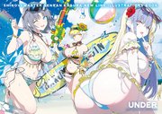 シノビマスター 閃乱カグラ NEW LINK　ILLUSTRATIONS BOOK