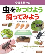 雑木林の虫
