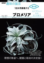 ブロメリア　エアプランツからタンクまで
