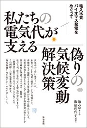 私たちの電気代が支える偽りの気候変動解決策