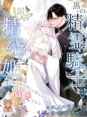 黒の精霊騎士と銀の精霊姫～不遇の精霊姫は憂いの騎士団長に溺愛される～
