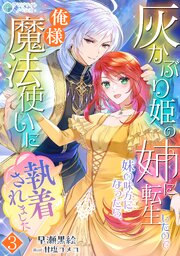 灰かぶり姫の姉に転生したので妹の味方になったら、俺様魔法使いに執着されました（３）
