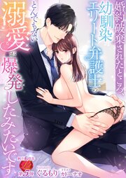 婚約破棄されたところ、幼馴染エリート弁護士のとんでもない溺愛が爆発したみたいです