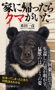 家に帰ったらクマがいた