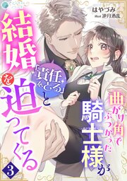 曲がり角でぶつかった騎士様が「責任をとる」と結婚を迫ってくる（３）