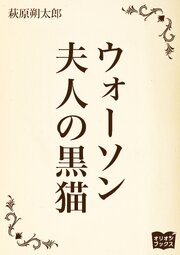 ウォーソン夫人の黒猫