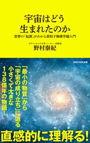 宇宙はどう生まれたのか　世界の「起源」がわかる素粒子物理学超入門（マガジンハウス新書）