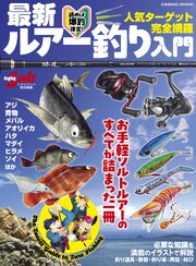 最新ルアー釣り入門