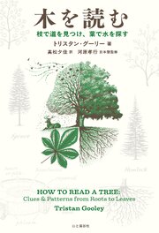 木を読む 枝で道を見つけ、葉で水を探す