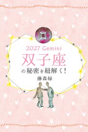 2027年の双子座の秘密を紐解く！